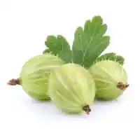 ērkšķoga01