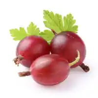 ērkšķoga4
