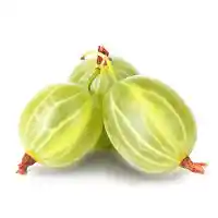 ērkšķoga3