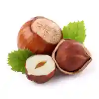 lazdu rieksts