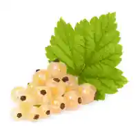 jāņoga1