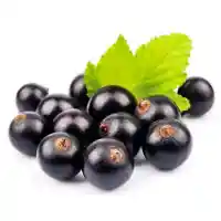 jāņoga5