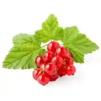 jāņoga3